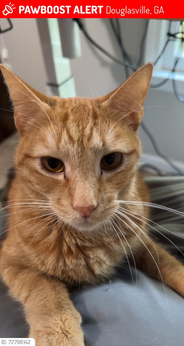 Lost Male Cat last seen McKown Rd & Stoneybrook Dr, Douglasville, GA 30134