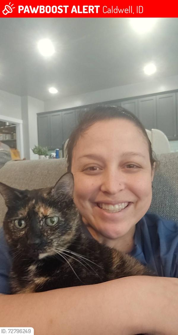Lost Female Cat last seen  Depot, Caldwell, ID 83605