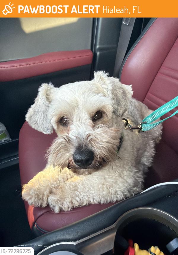 Found/Stray Male Dog last seen Hialeah gardens, Hialeah, FL 33010