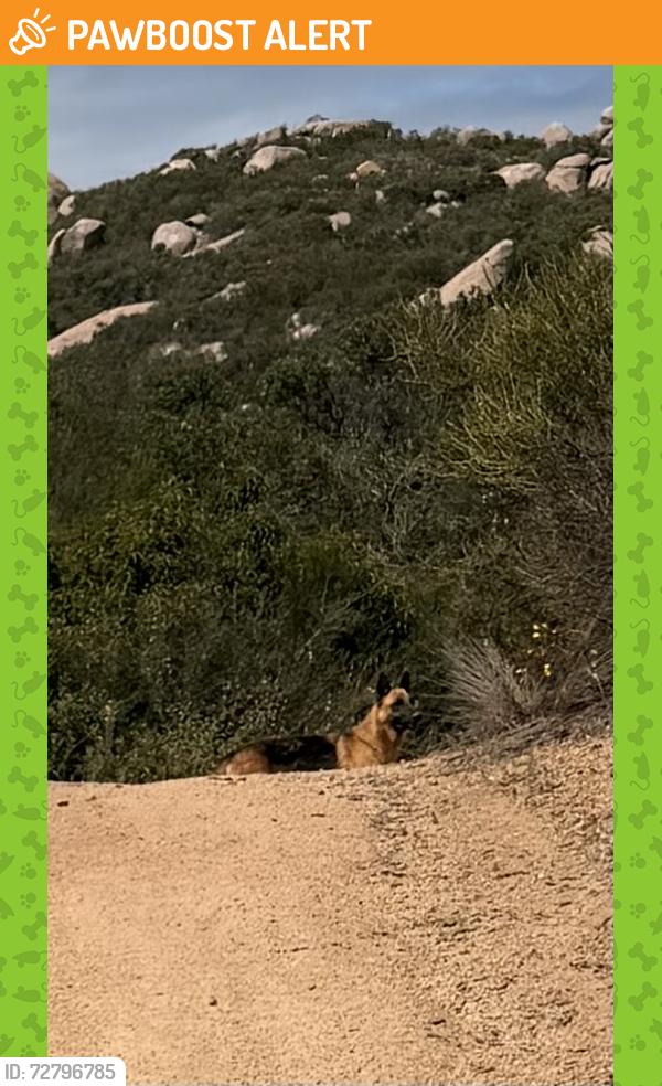 Found/Stray Unknown Dog last seen In the hills on a trail by Camino mayor, San Diego County, CA 92069
