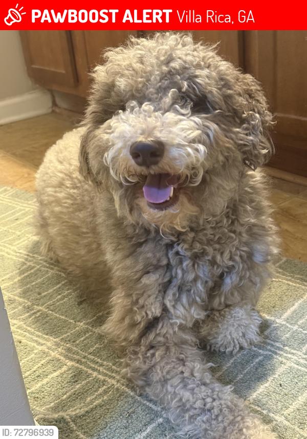 Lost Male Dog last seen Augusta Woods Subdivisin , Villa Rica, GA 30180