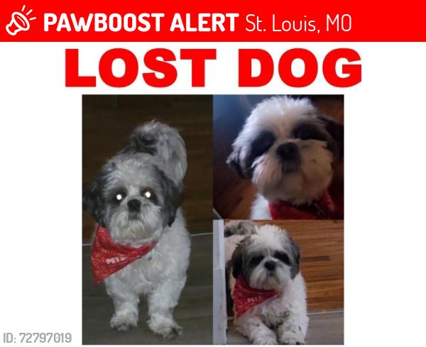 Lost Male Dog last seen brannon, St. Louis, MO 63109