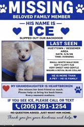 Lost Male Dog last seen Hueytown , Hueytown, AL 35023