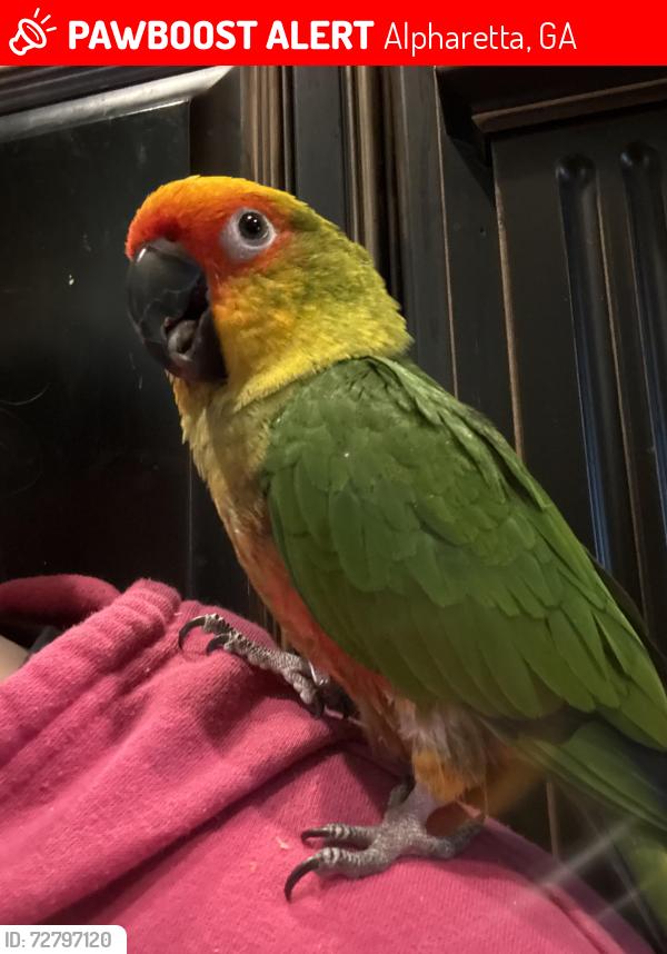 Lost Female Bird last seen White Columns Dr near 15390, Alpharetta, GA 30004