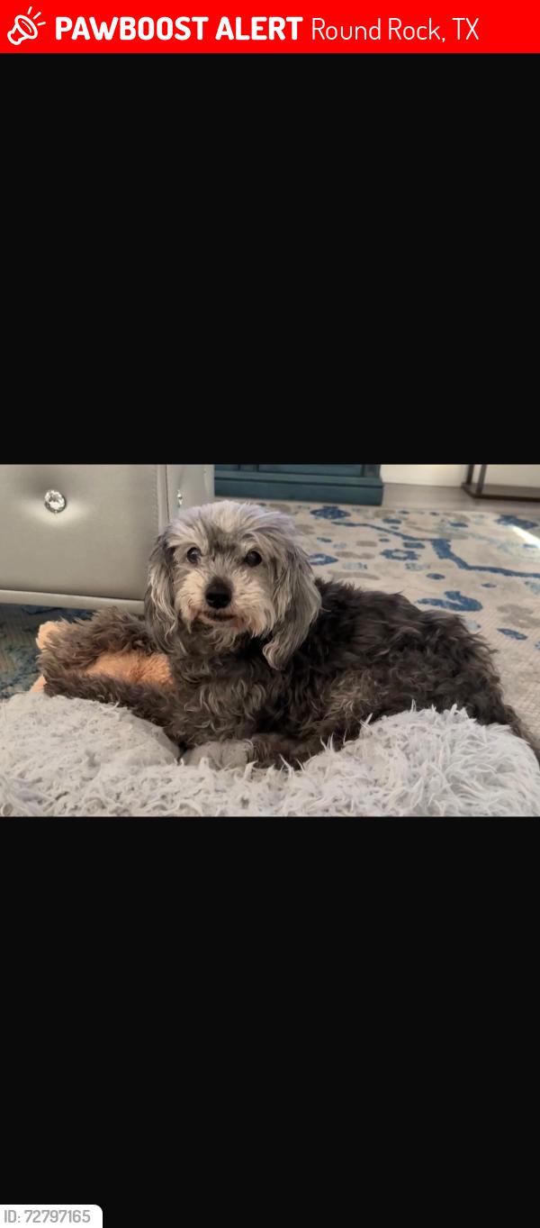 Lost Female Dog last seen Near Kim Cove, Round Rock, TX 78665