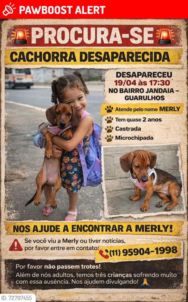 Lost Female Dog last seen Rua Belo Horizonte, 536, Parque Jandaia, SP 07261-010
