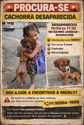 Lost Female Dog last seen Rua Belo Horizonte, 536, Parque Jandaia, SP 07261-010