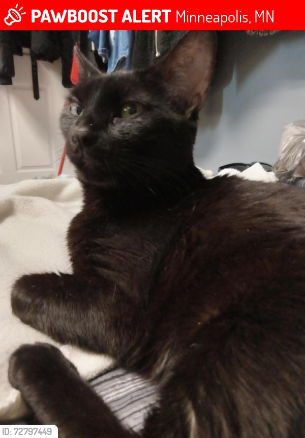 Lost Female Cat last seen 77th and Nicollet S., Minneapolis, MN 55423