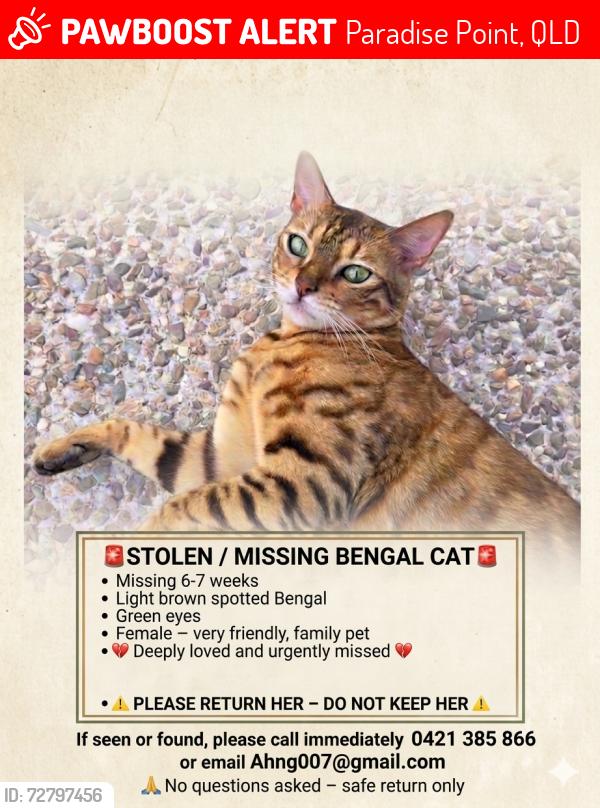 Lost Female Cat last seen Paradise point 4216, Paradise Point, QLD 4216