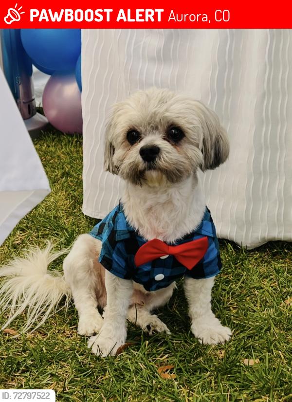 Lost Male Dog last seen Near N Orleans St , Aurora, CO 80019