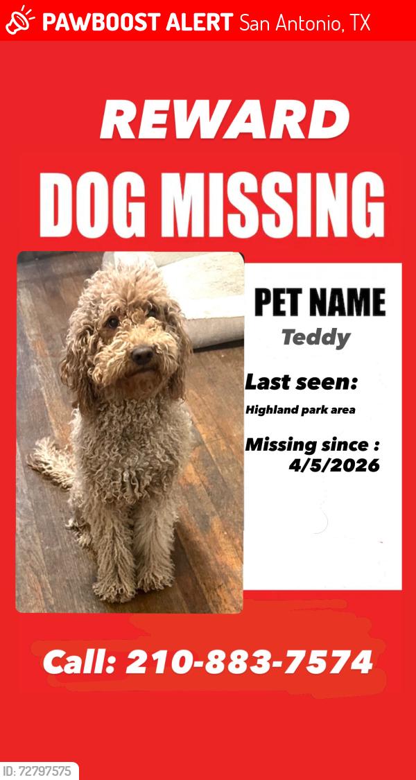 Lost Female Dog last seen Kayden, San Antonio, TX 78210