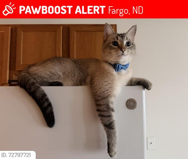Lost Male Cat last seen Woodbury park, 28th Ave S, Wheatland Dr S, Fargo, ND 58103