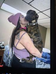 Lost Female Dog last seen Tusquittee creek rd , Hayesville, NC 28904