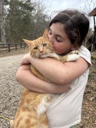 Lost Male Cat last seen Del Thomas rd & paw paw springs, Rutherford County, TN 37014