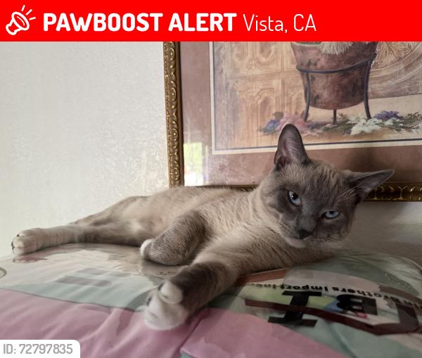 Lost Male Cat last seen East dr & Nita , Vista, CA 92083