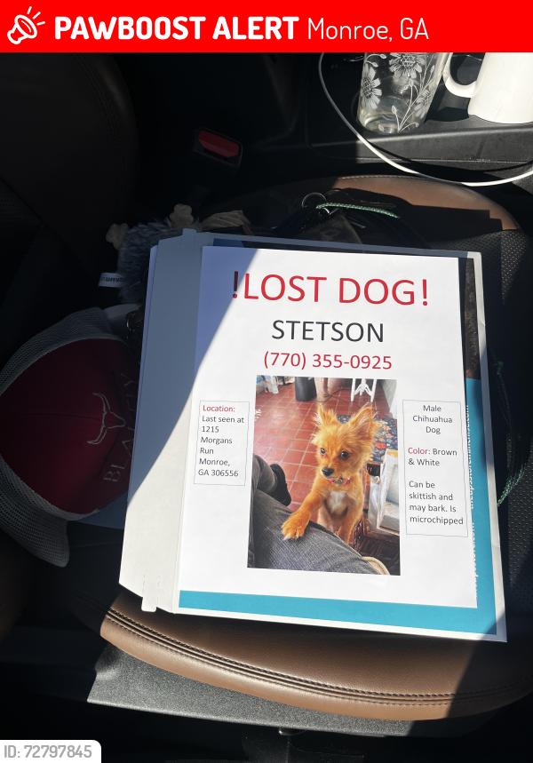 Lost Male Dog last seen Audrey Ridge, Monroe, GA 30656