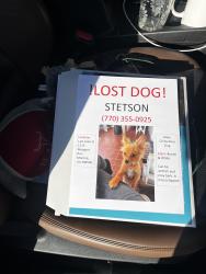 Lost Male Dog last seen Audrey Ridge, Monroe, GA 30656