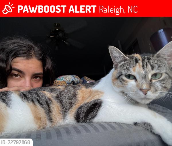 Lost Female Cat last seen Triangle town mall, Raleigh, NC 27616