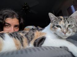 Lost Female Cat last seen Triangle town mall, Raleigh, NC 27616