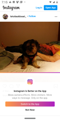 Lost Male Dog last seen Bus stop, Richmond, CA 94808