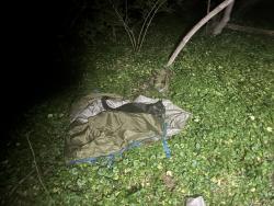 Found/Stray Male Cat last seen Jim terrel park ord, Milford, OH 45150