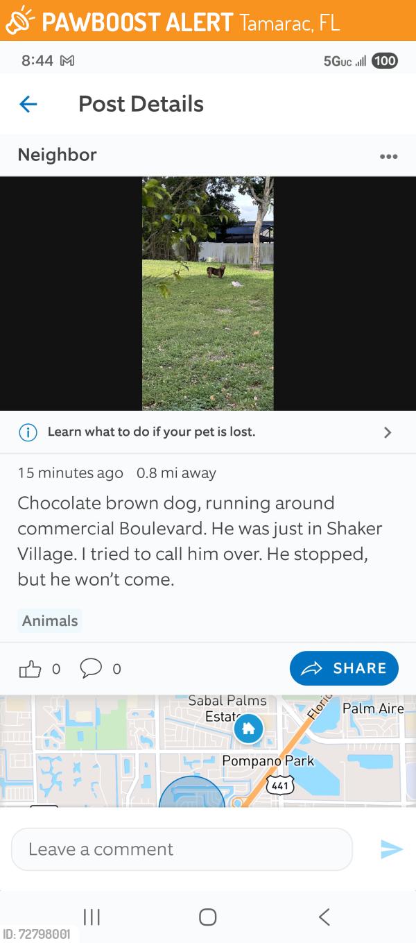 Found/Stray Male Dog last seen Commercial blvd , Tamarac, FL 33068