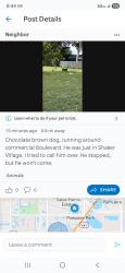 Found/Stray Male Dog last seen Commercial blvd , Tamarac, FL 33068