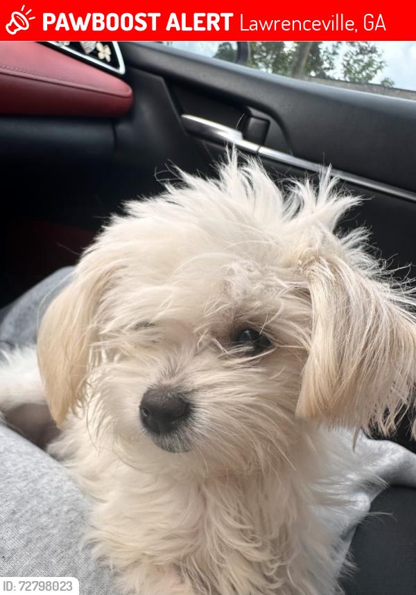 Lost Female Dog last seen Meadowlark Pl & W Meadowlark Ln. Nearest landmark is Gwinnet Clunty Fire Station 25, Lawrenceville, GA 30044