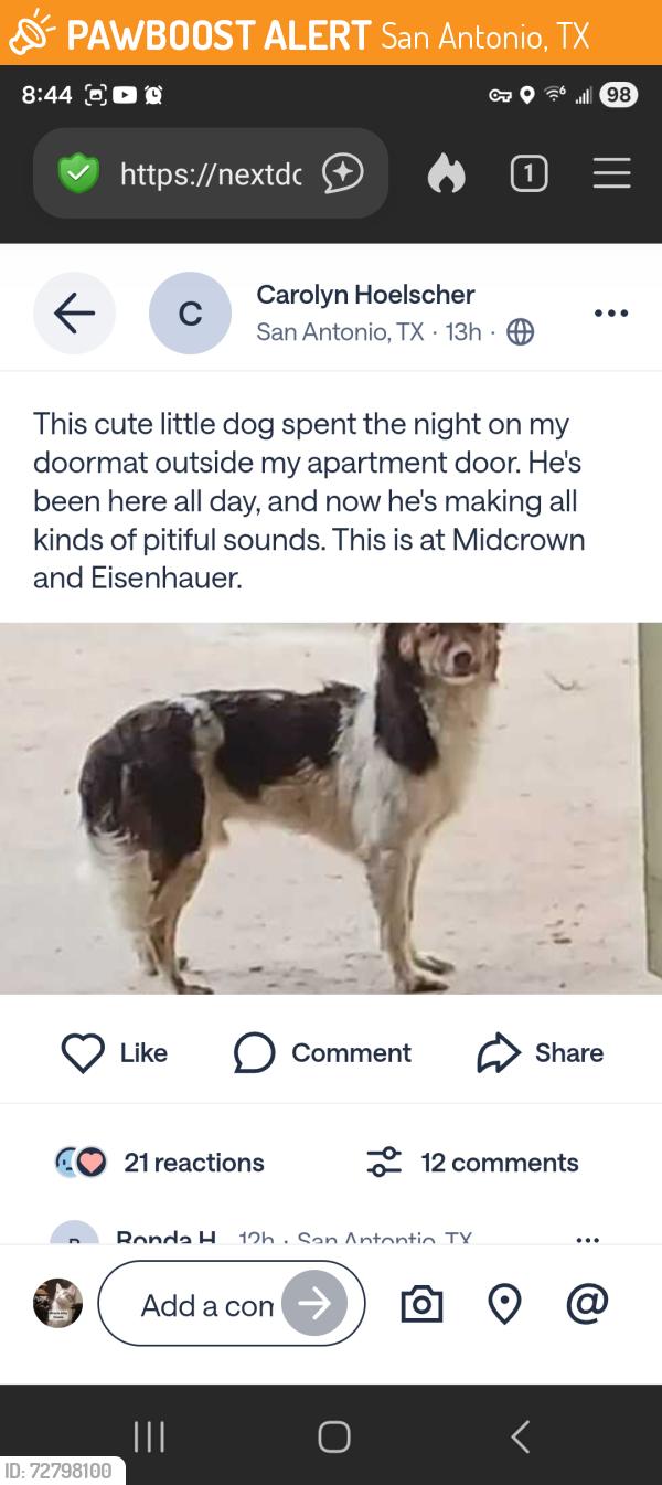 Found/Stray Unknown Dog last seen Midcrown and Eisenhauer, San Antonio, TX 78218