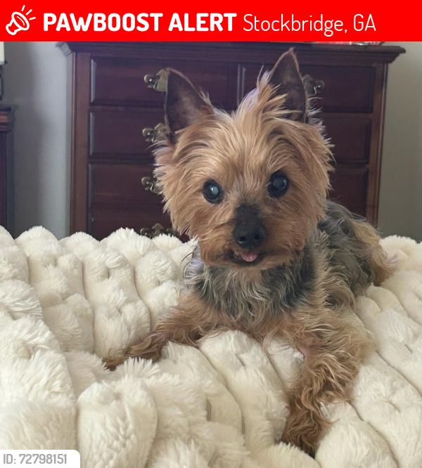 Lost Male Dog last seen The Villages of Eagles Landing , Stockbridge, GA 30281
