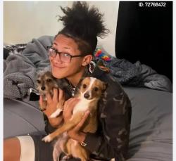 Lost Male Dog last seen Dewey , Citrus Heights, CA 95621