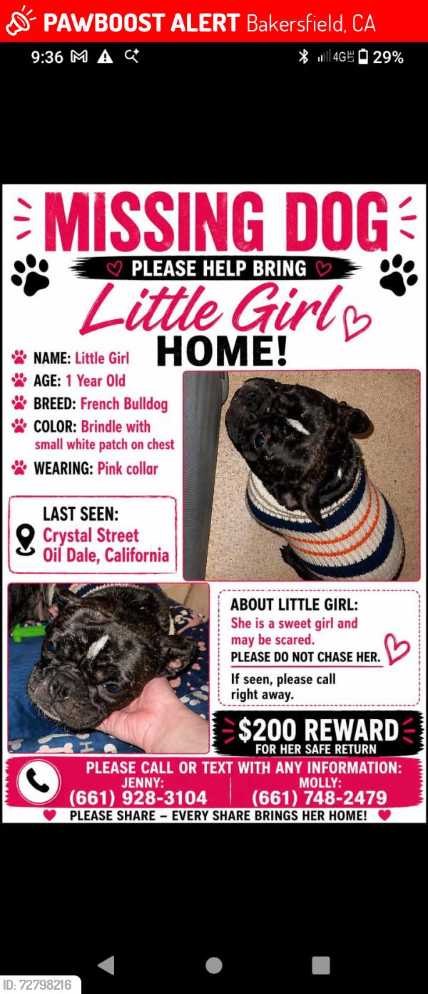 Lost Female Dog last seen Willow dr , Bakersfield, CA 93308