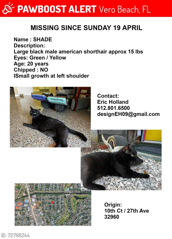 Lost Male Cat last seen Trinity Church, Vero Beach, FL 32960