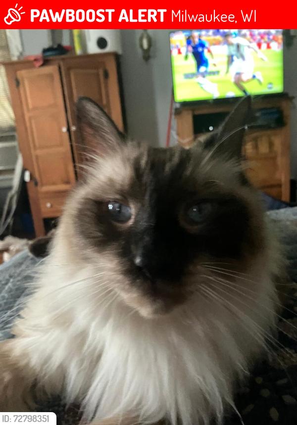 Lost Male Cat last seen Washington Blvd. and 50th St. , Milwaukee, WI 53208