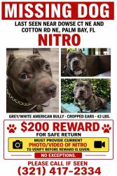 Lost Male Dog last seen Palm Bay Road , Melbourne, FL 32901