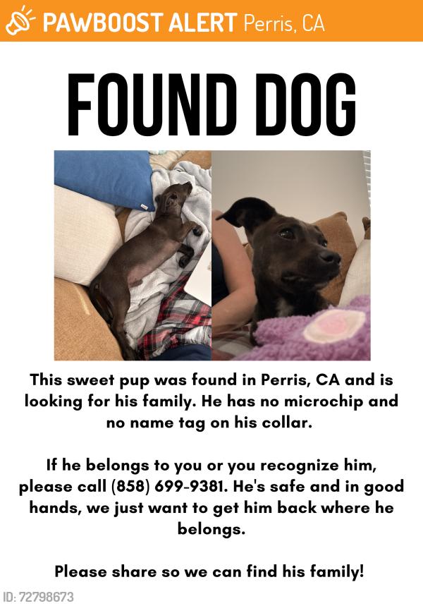 Found/Stray Male Dog last seen Theda & Mountain , Perris, CA 92572