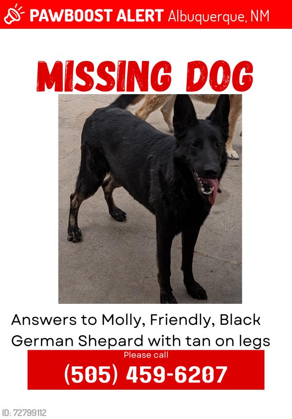 Lost Female Dog last seen Four Hills Village, Albuquerque, NM 87123