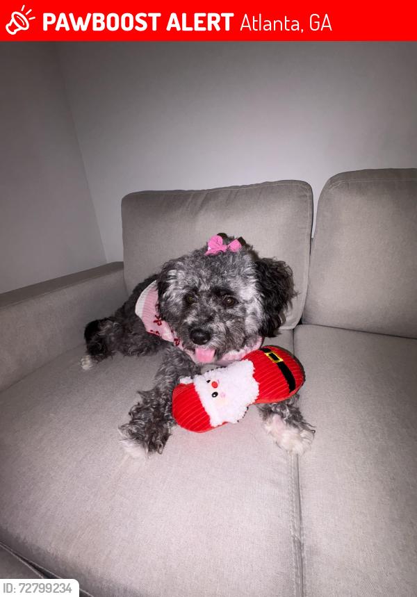 Lost Female Dog last seen John Hope Dr, Atlanta, GA 30314