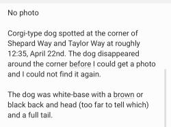 Found/Stray Unknown Dog last seen Corner of Shepard Way and Taylor Way, North Delta, Delta, BC V4C 4K1