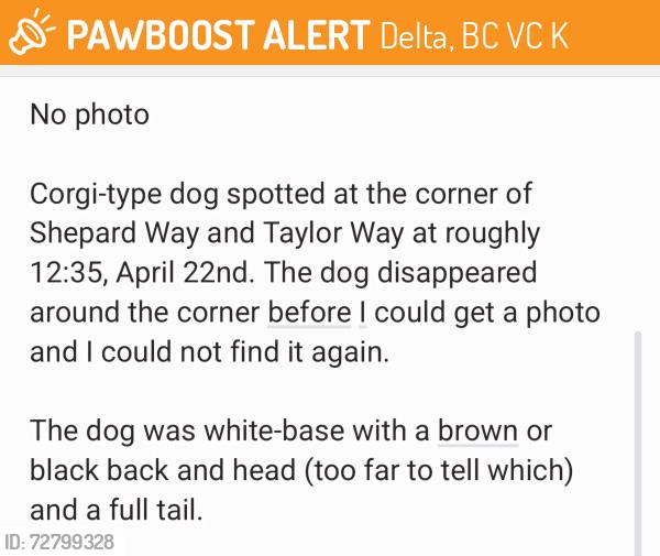 Found/Stray Unknown Dog last seen Corner of Shepard Way and Taylor Way, North Delta, Delta, BC V4C 4K1