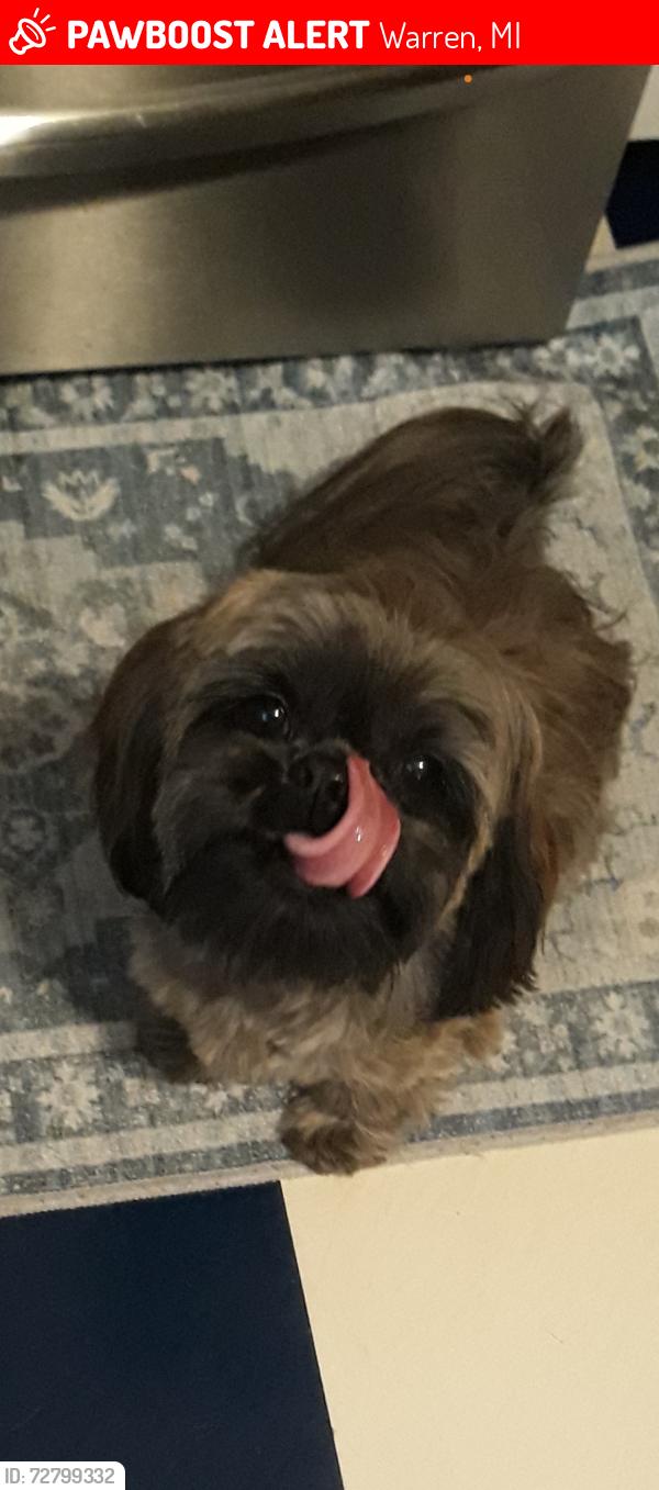 Lost Female Dog last seen arsenal/ 696 service drive, Warren, MI 48093