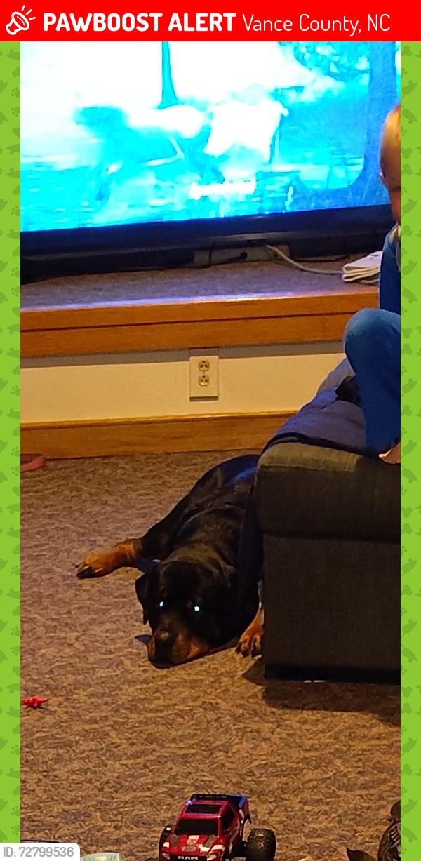 Lost Male Dog last seen Plantation drive , Vance County, NC 27544