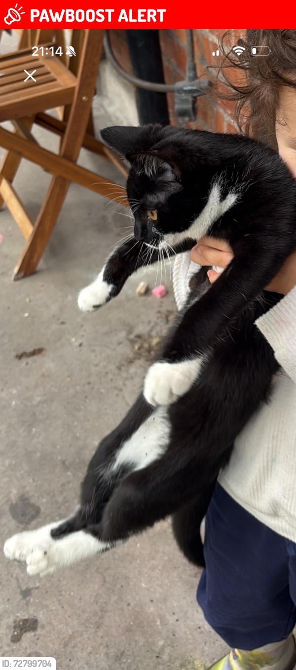Lost Unknown Cat last seen Clifton vale, Hotwell rd, Hotwells, England BS8 4SP