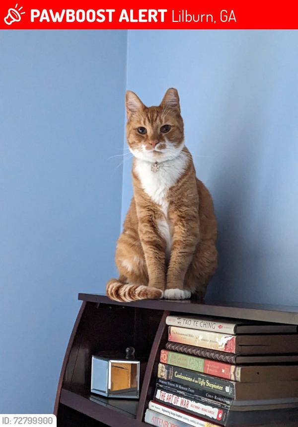 Lost Male Cat last seen Hanarry est , Lilburn, GA 30047