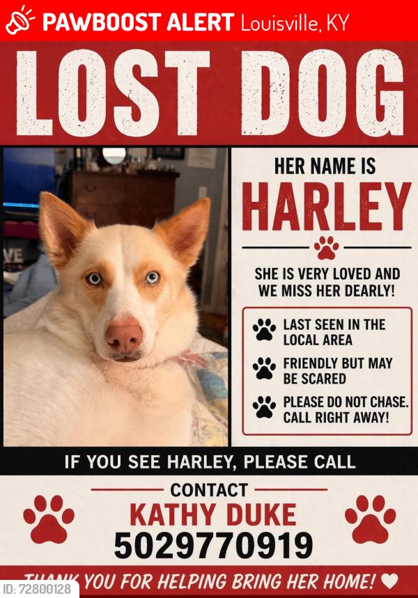 Lost Female Dog last seen On floodwall behind lees lane, Louisville, KY 40216