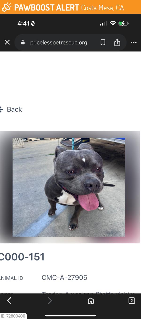 Found/Stray Male Dog last seen Fairview Park, Costa Mesa , Costa Mesa, CA 92627