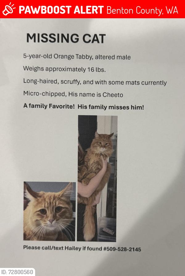 Lost Male Cat last seen Cottonwood drive, 190 PRSE, Benton County, WA 99338