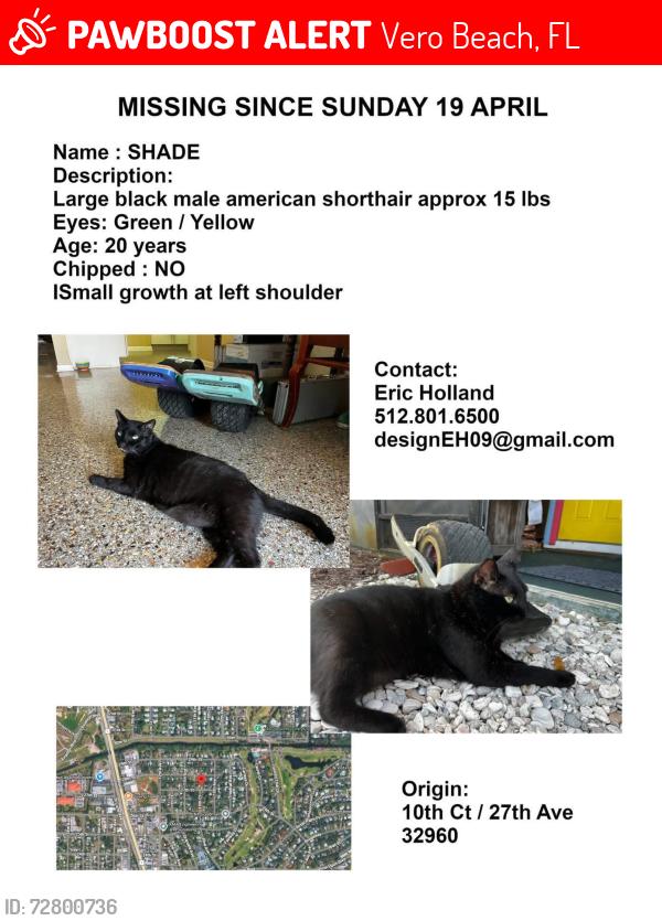 Lost Male Cat last seen 10th Court and 27th Street in Vero Beach, Vero Beach, FL 32961