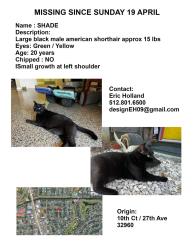 Lost Male Cat last seen 10th Court and 27th Street in Vero Beach, Vero Beach, FL 32961