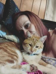 Lost Male Cat last seen 92nd Ave near Graham elementary , Graham, WA 98338